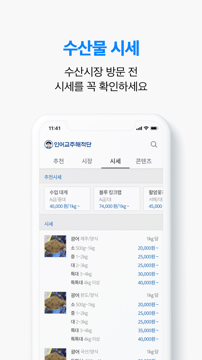 인어교주해적단