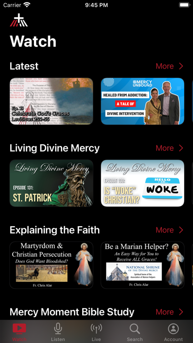 Divine Mercy Plus Screenshot