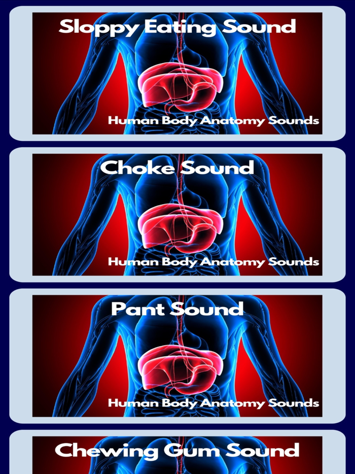 Human Body Anatomy Sounds
