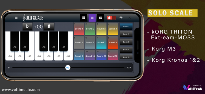 Solo Scale Controller