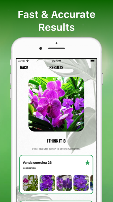 Plant Identifier Aрр Plant ID Screenshot