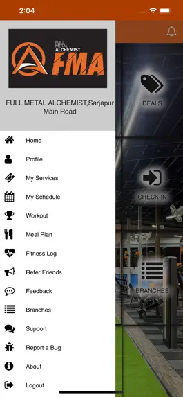 Game screenshot The FMA hack