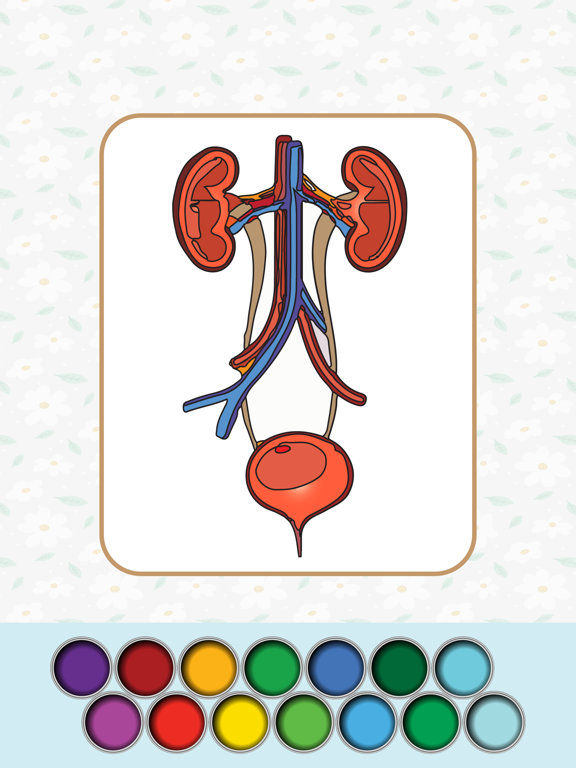 Screenshot #5 pour Anatomy Coloring Book.