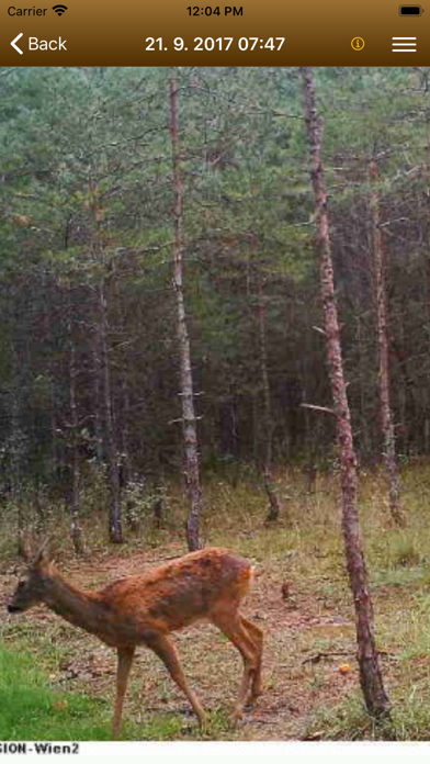 SuperJagd Wildkamera Screenshot