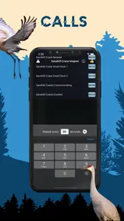 sandhill crane magnet iphone screenshot 3