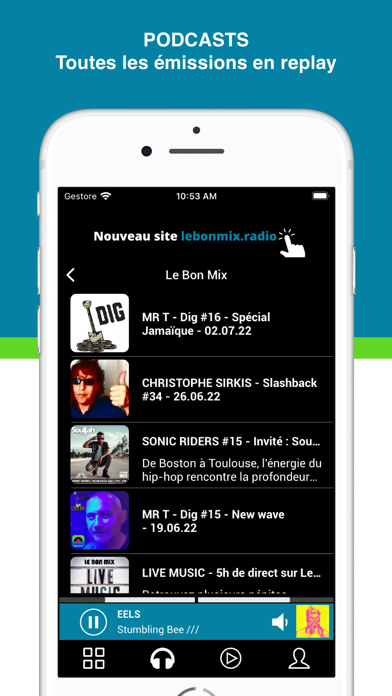 Lebonmix Radio Screenshot