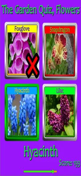 Game screenshot The Garden Quiz: Flowers mod apk
