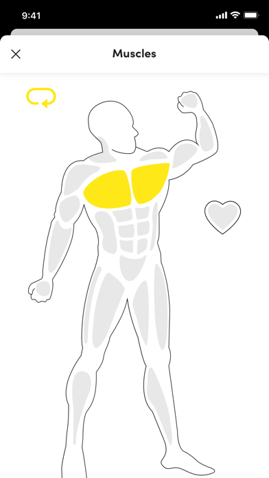 Mike's Gym Screenshot