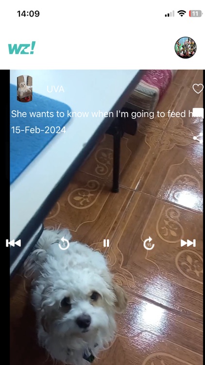 WazUpPup screenshot-4