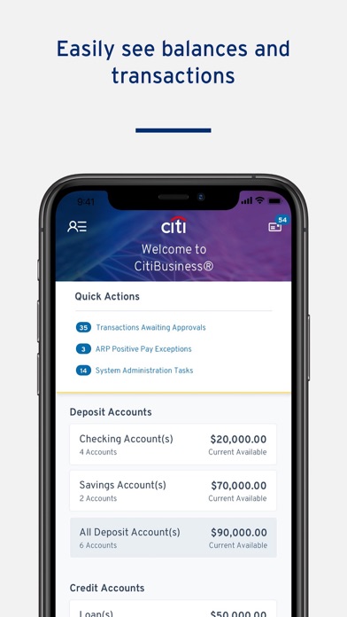 CitiBusiness® Mobile Screenshot