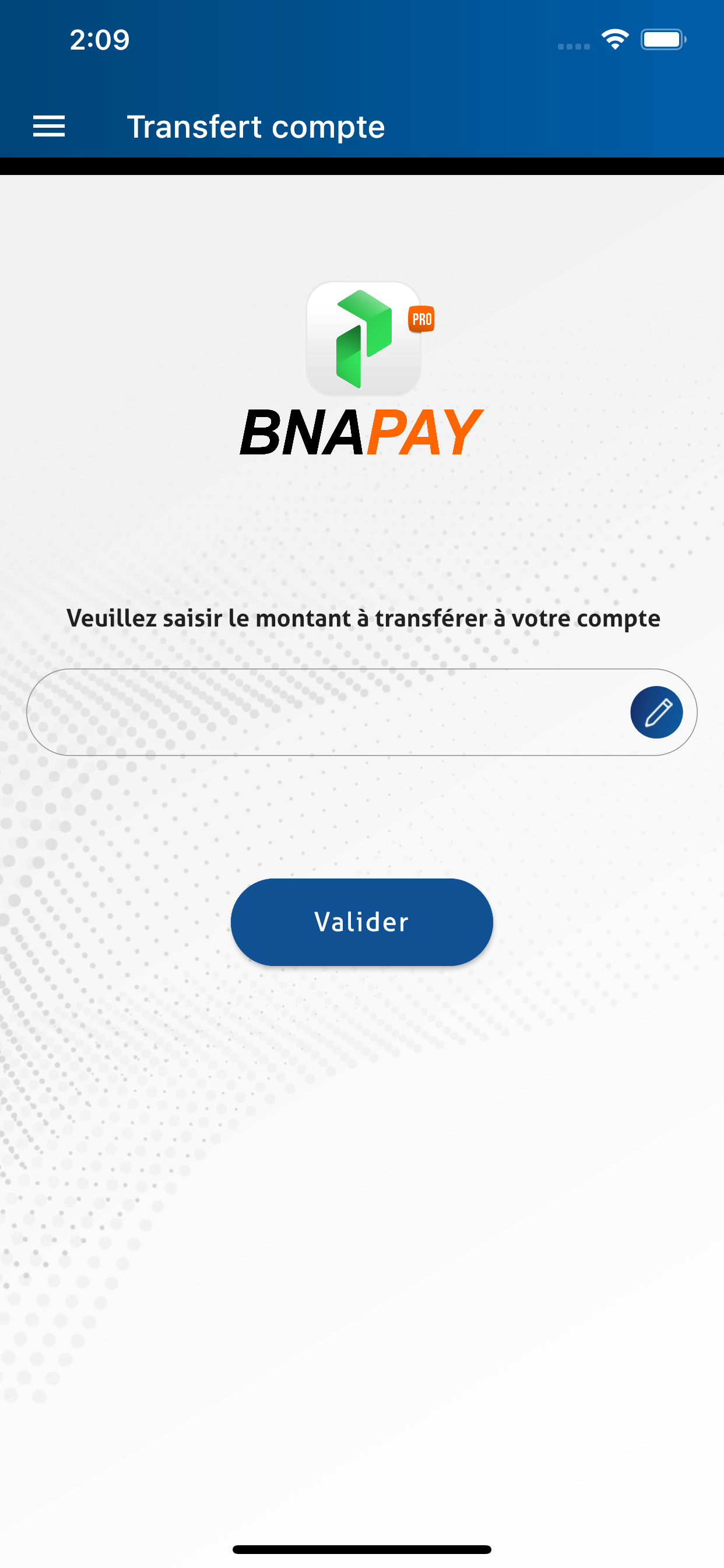 BNAPAY PRO
