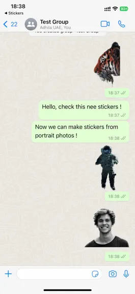 Game screenshot Portrait Sticker apk