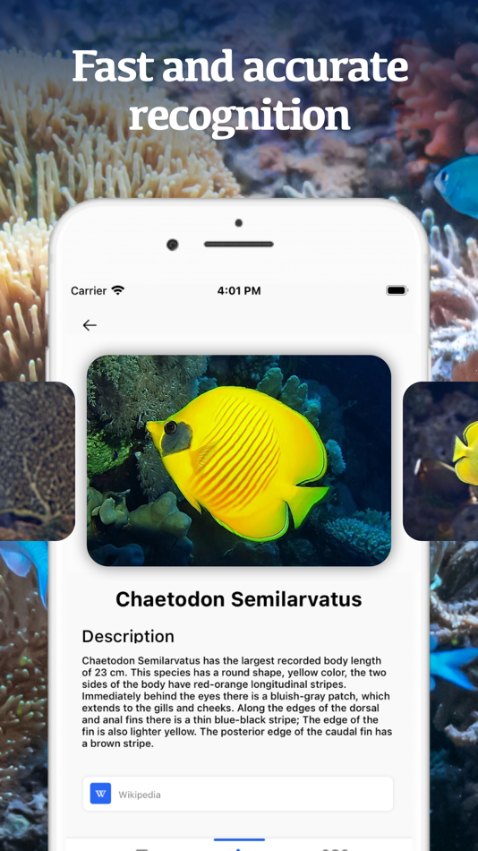 #3. Fish Identification by Picture (iOS) 由: Nam Nguyen Sy