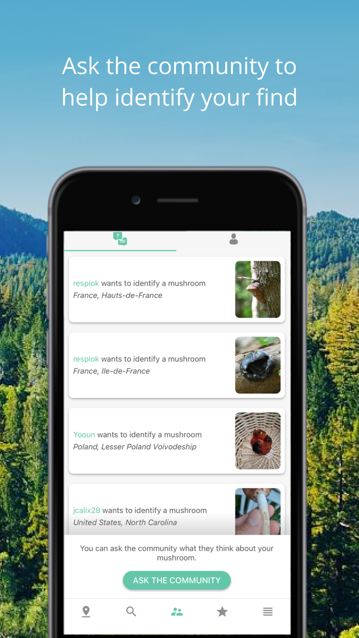 Mushroom Identificator