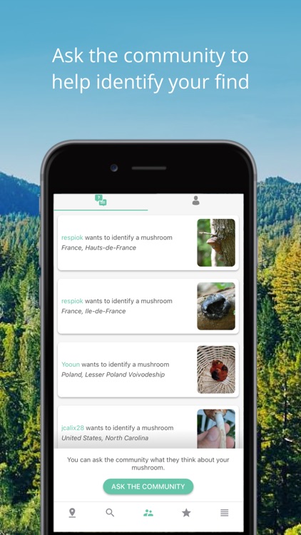 Mushroom Identificator screenshot-3