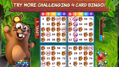 Bingo Beavers Screenshot