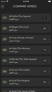 holy quran - dark mode problems & solutions and troubleshooting guide - 4