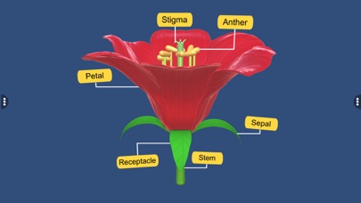 Screenshot #1 pour Parts of Flower