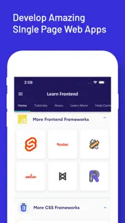 learn frontend web development iphone screenshot 4