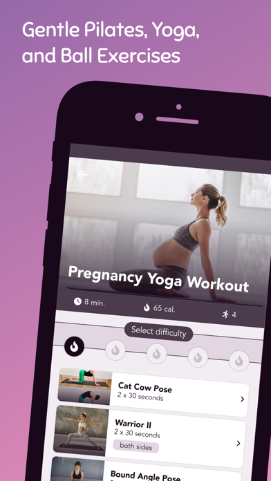 Pregnancy Workouts & Exercises Screenshot