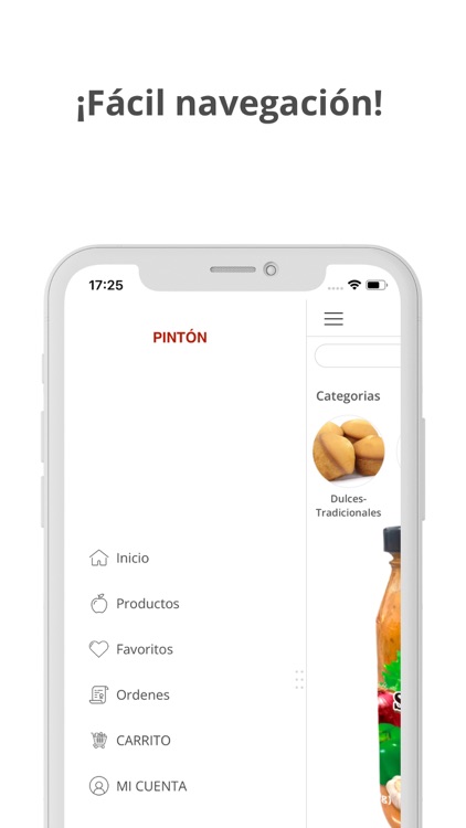 PINTON screenshot-3