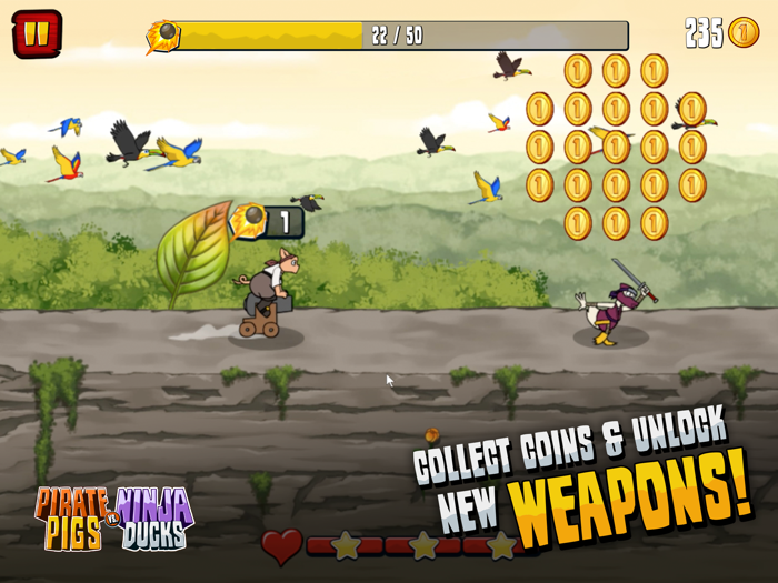 Pirate Pigs vs. Ninja Ducks