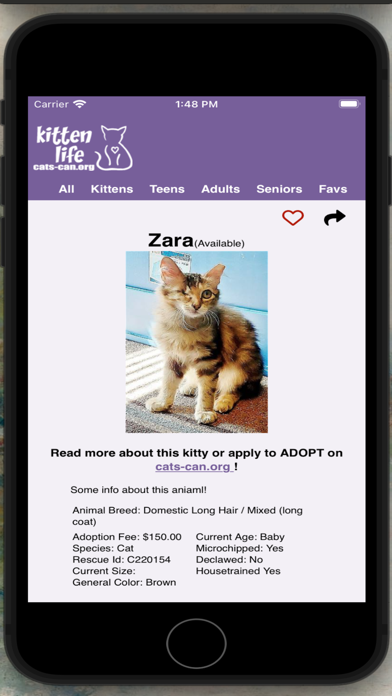 Cats-can inc Screenshot