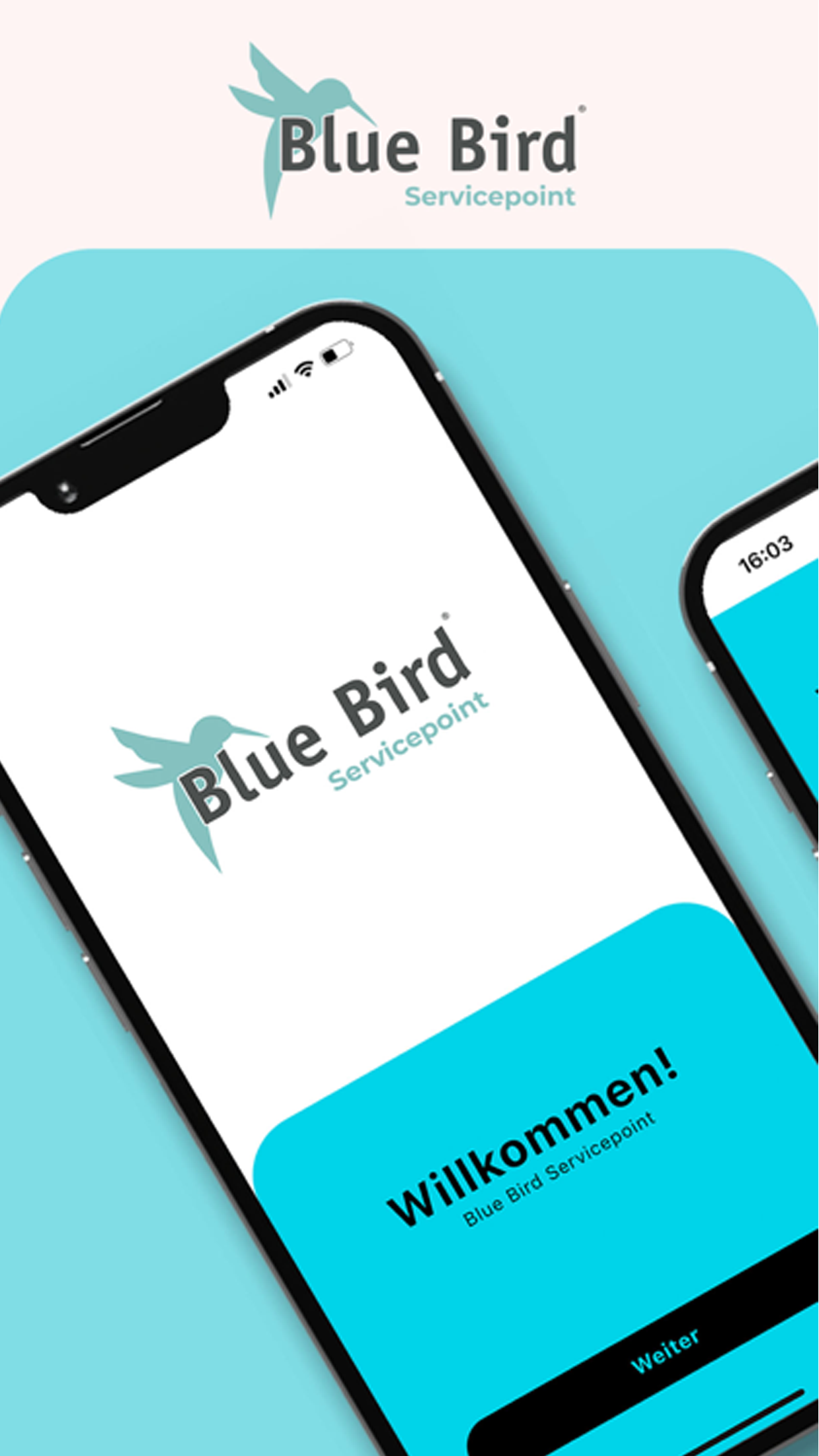 Blue Bird Servicepoint