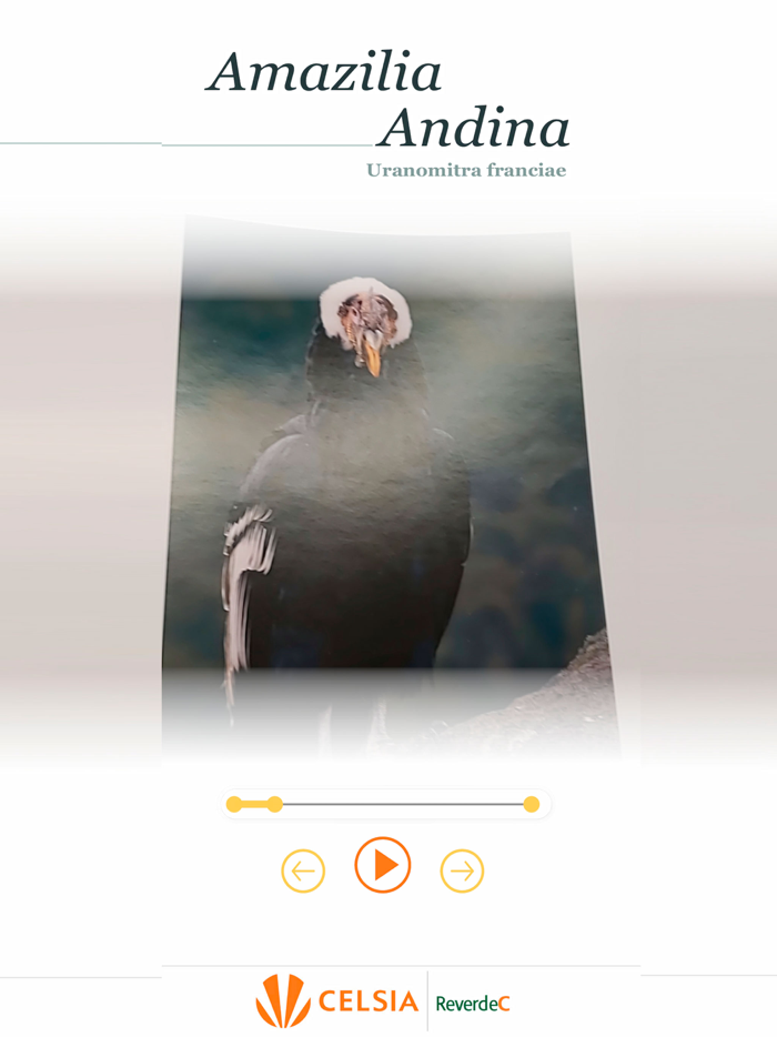 Naturaleza y asombro