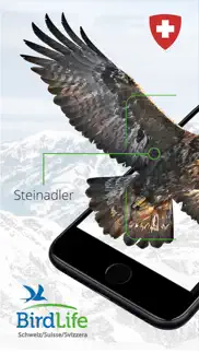 vogelführer birdlife schweiz iphone screenshot 1