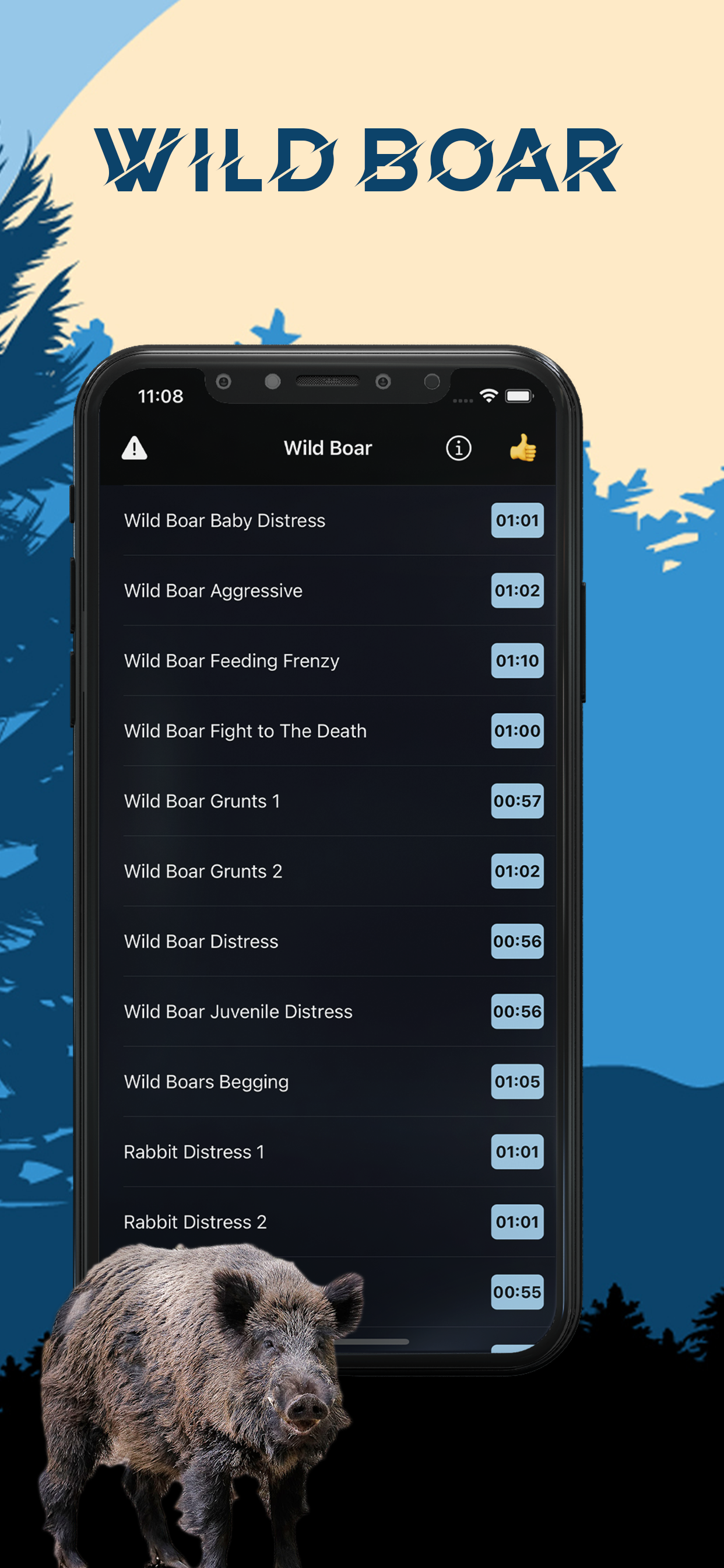 Wild Boar Magnet - Boar Calls