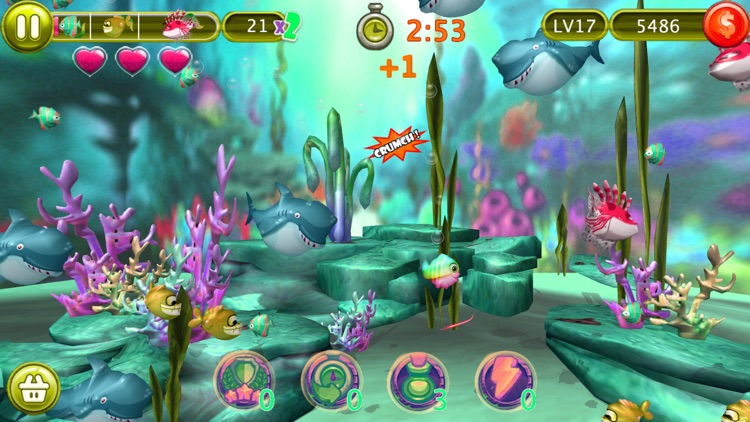 Hungry Fish 3D screenshot-3