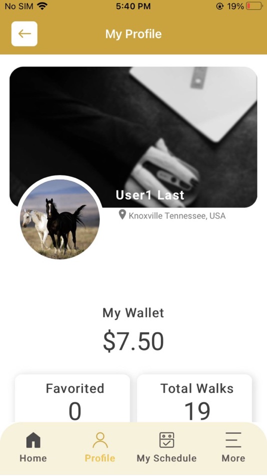 #4. Loyal Team (iOS) Podle: Bluestone Apps, LLC Mobile