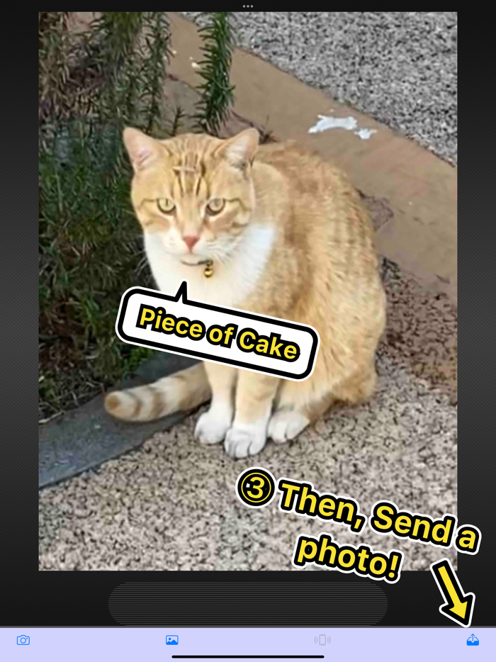 BlueTransLite - Easy sharing