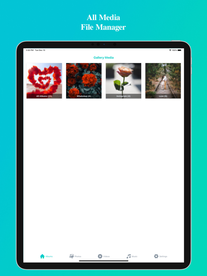 All Media File Manager