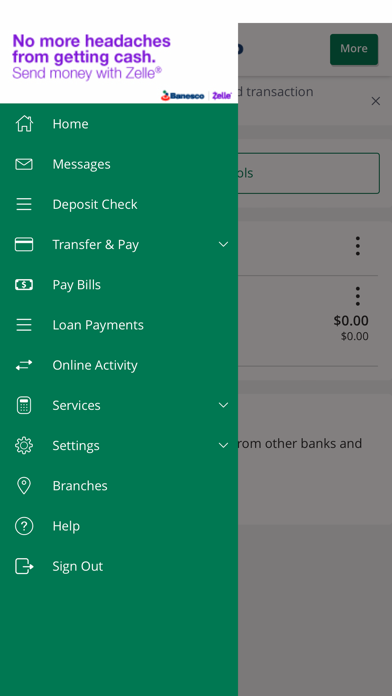 Banesco USA Screenshot