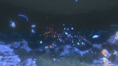 Coral Reef HD Screenshot