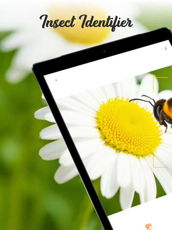 Screenshot #4 pour Identifier Insectes Bug id