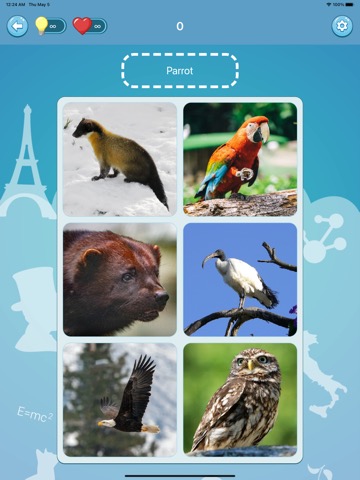 Animals quiz guess mammals zooのおすすめ画像2