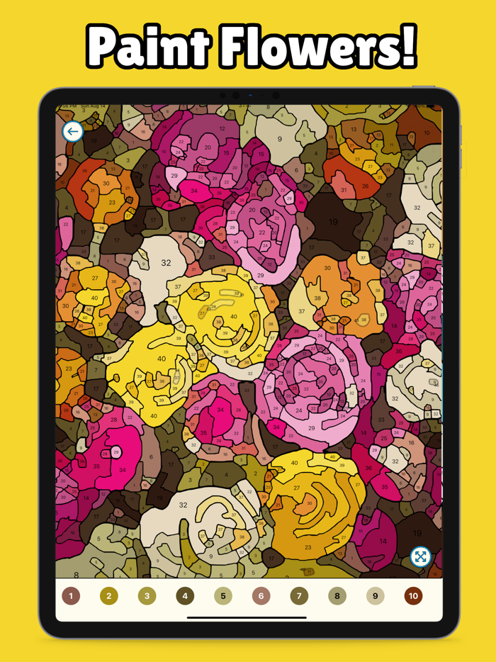 Mega Color - Paint by Number