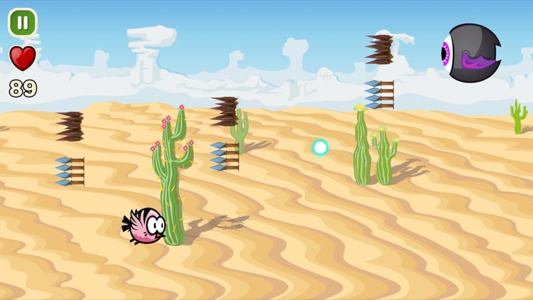 Coco Bird screenshot-0