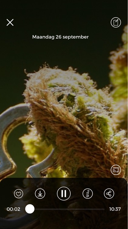 Bidden Onderweg screenshot-6