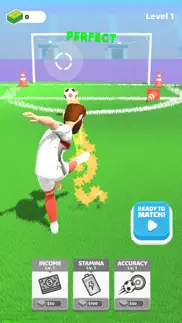 soccer time 3d iphone screenshot 3