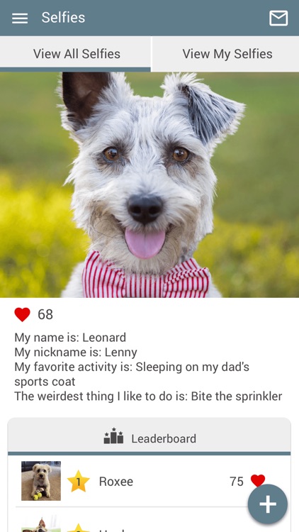 My Village Vet screenshot-3