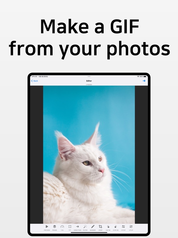 Screenshot #5 pour GIF Toaster Pro