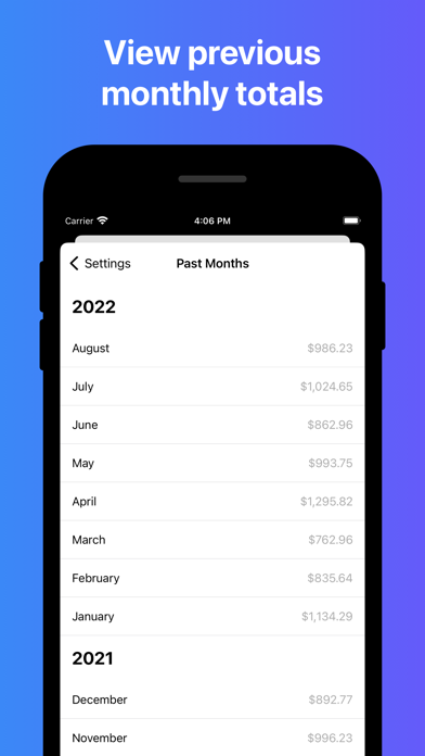 Budget Burndown: Finance Kit Screenshot