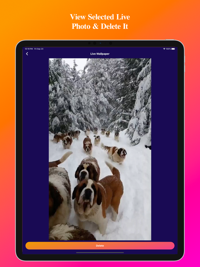 Video To Live Wallpapers