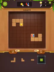 blockpuz -woody block puzzle айпад изображения 1