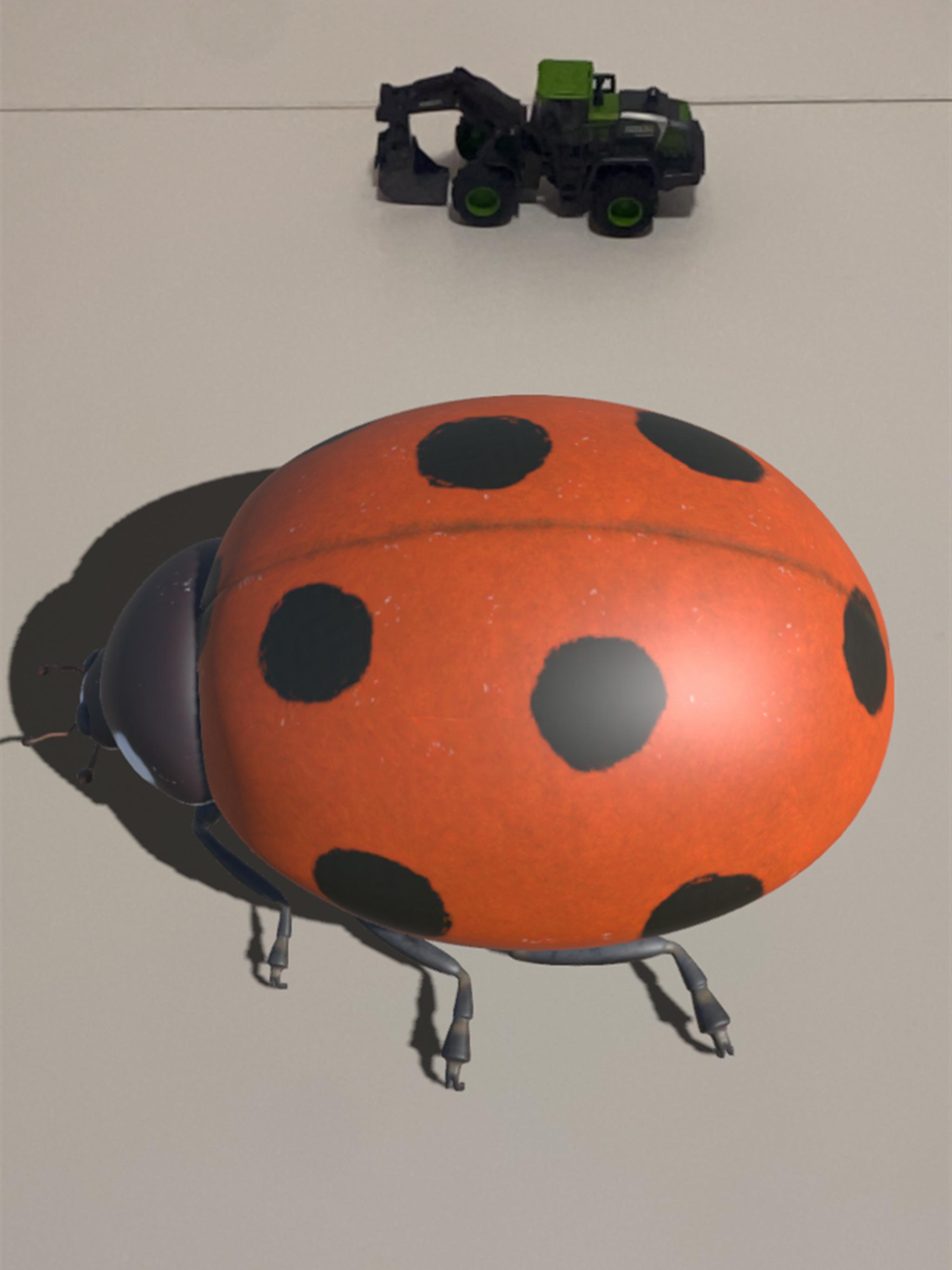 Insectes AR