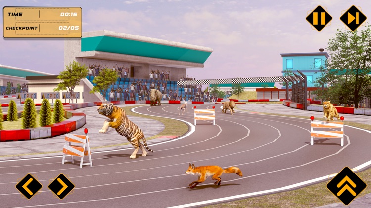 Wild Animal Race Horse Racing